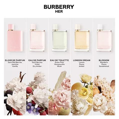 burberry her perfume size comparison|burberry her perfume best price.